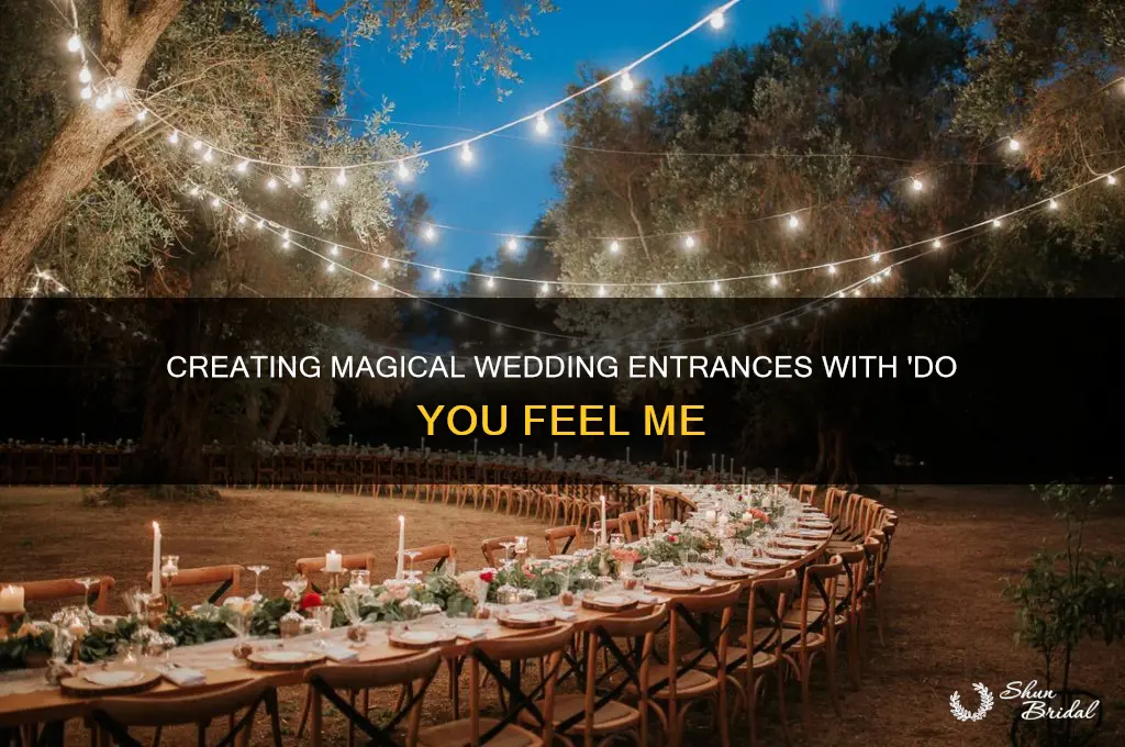 do you feel me wedding entrance