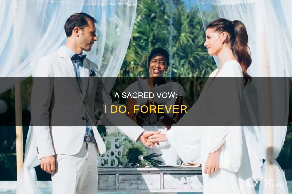 do you groom take bride to be your wedded wife