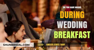Music During Wedding Breakfast: A Good Idea?