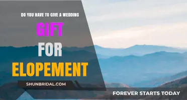 Elopement Etiquette: Are Wedding Gifts Still Expected When Couples Elope?