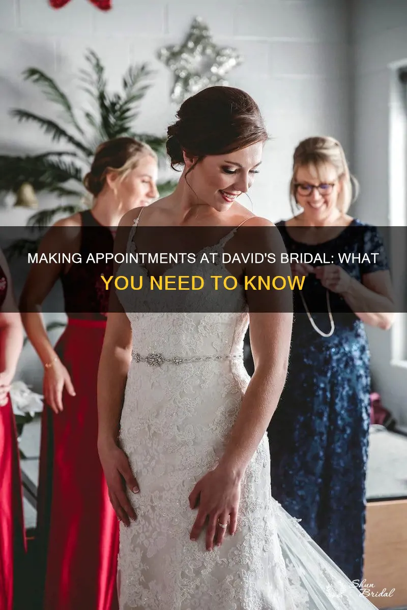 do you have to make an appointment at david