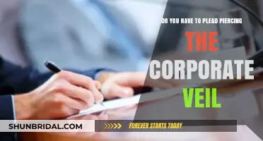 Piercing the Corporate Veil: Understanding When and How to Plead