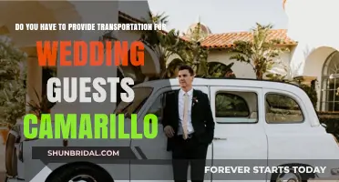 Camarillo Wedding Guest Transportation: Is It Your Responsibility?