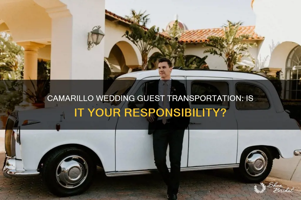 do you have to provide transportation for wedding guests camarillo