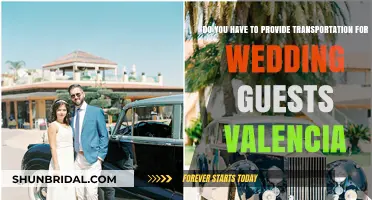 Valencia Wedding Guest Transport: Essential or Optional for Your Big Day?