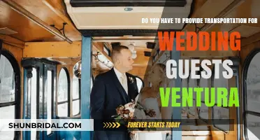 Ventura Wedding Guest Transportation: Is It Your Responsibility?