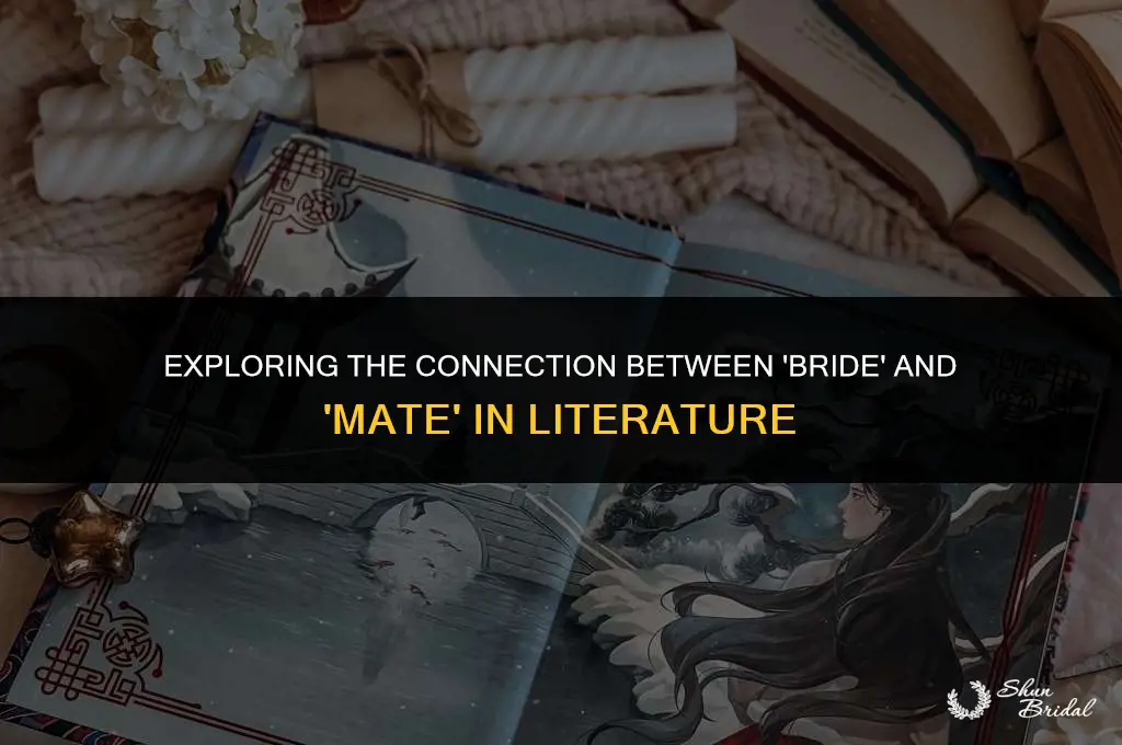 do you have to read bride to read mate