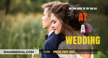 Tipping Wedding DJs: Is It Necessary?