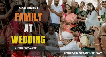 Introducing Family: Wedding Edition