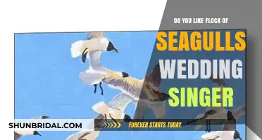 Flock of Seagulls: The Perfect Wedding Singer?