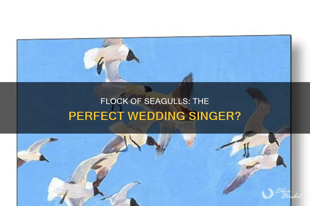 do you like flock of seagulls wedding singer