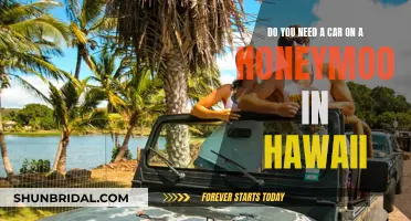 Exploring Hawaii: Honeymoons Without a Car