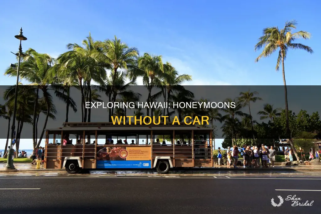 do you need a car on a honeymoon in hawaii