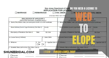 License to Wed: Elope Without Legal Hassle
