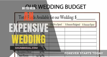 A Lavish Wedding: Is It Worth the Cost?
