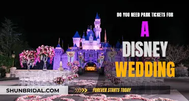 Disney Weddings: Park Tickets or Magical Exception?