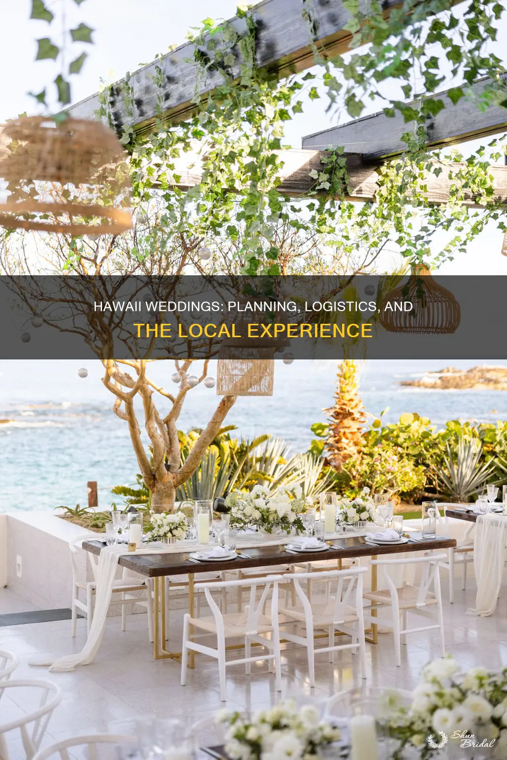 do you need to have a wedding planner married hawaii