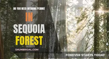 Sequoia Forest Weddings: Permit Requirements and Details