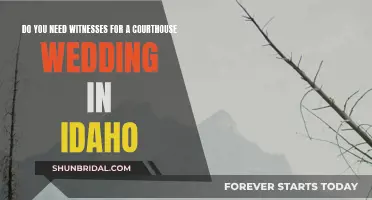 Witnesses for a Courthouse Wedding in Idaho: Who's Needed?