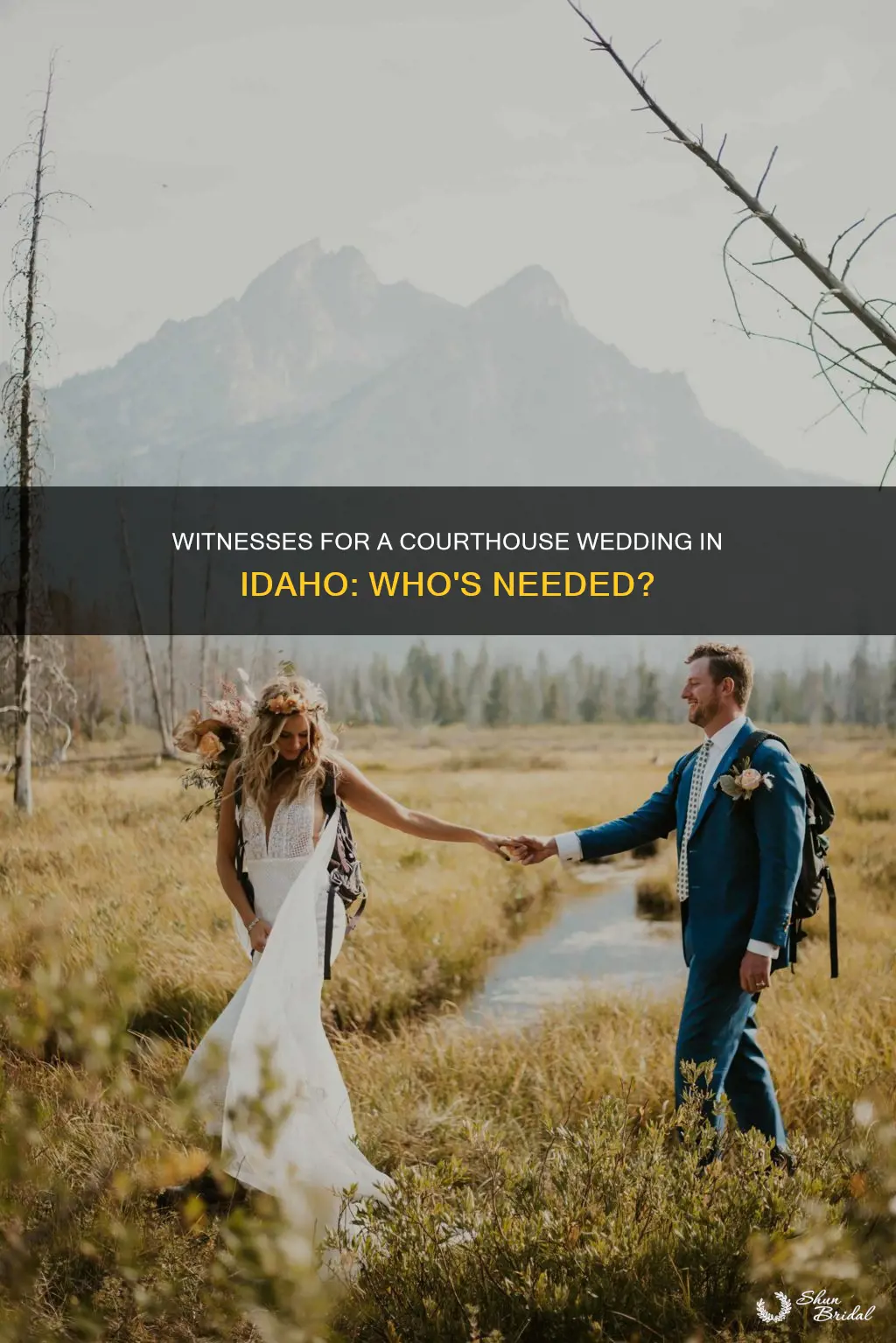 do you need witnesses for a courthouse wedding in idaho