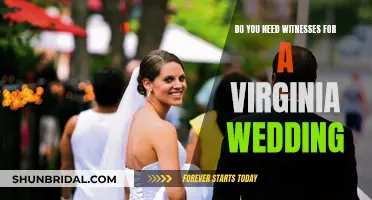 Witnesses at Virginia Weddings: Who Needs Them?