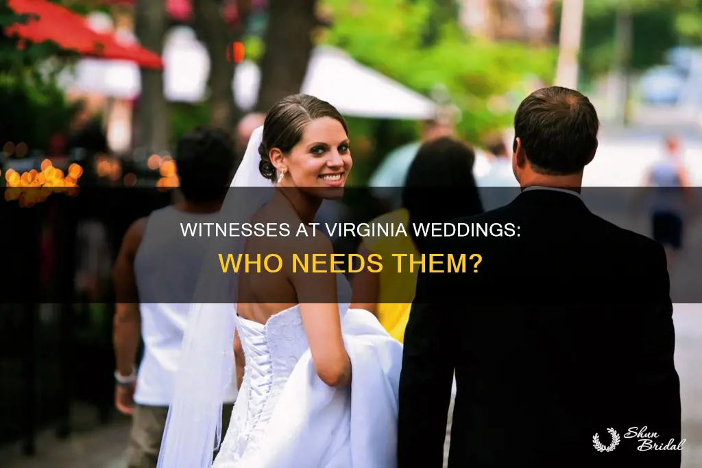 do you need witnesses for a virginia wedding