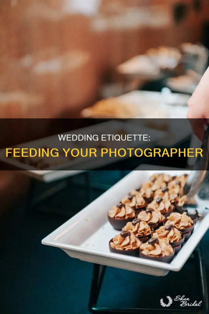do you order a meal for your wedding photographer