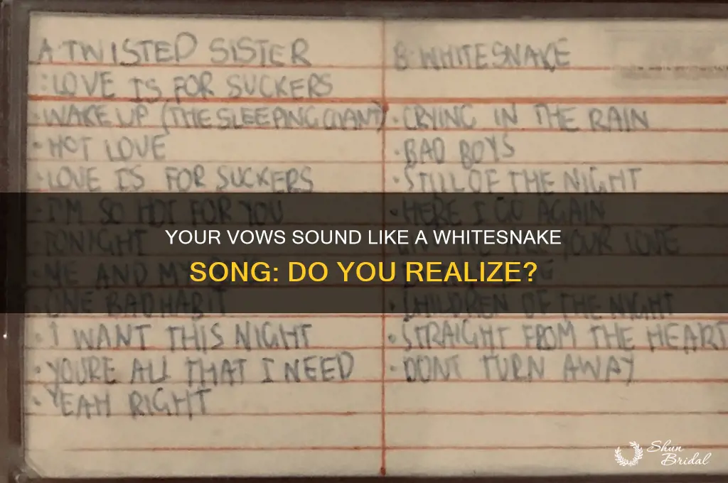do you realize your vows are a whitesnake song