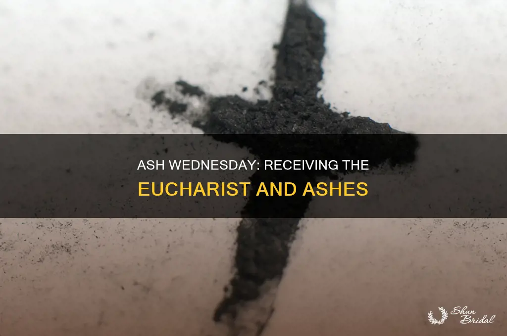 do you recieve the eucherist on ash wed service