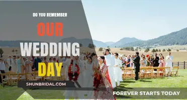 Cherished Memories: Reflecting on Our Magical Wedding Day Together
