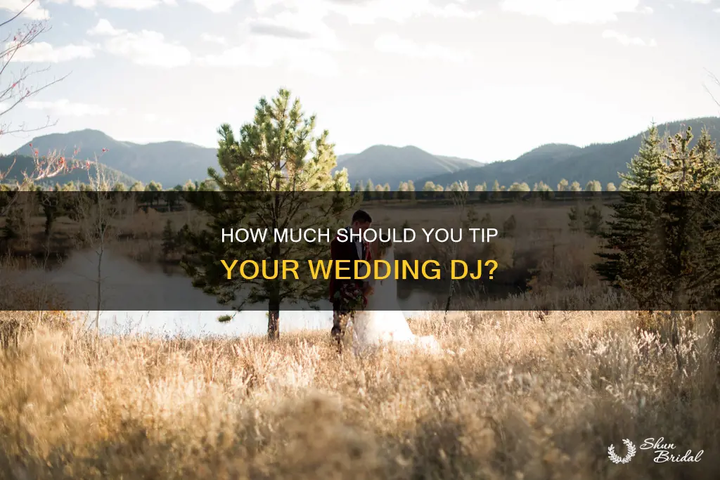do you tip a wedding dj