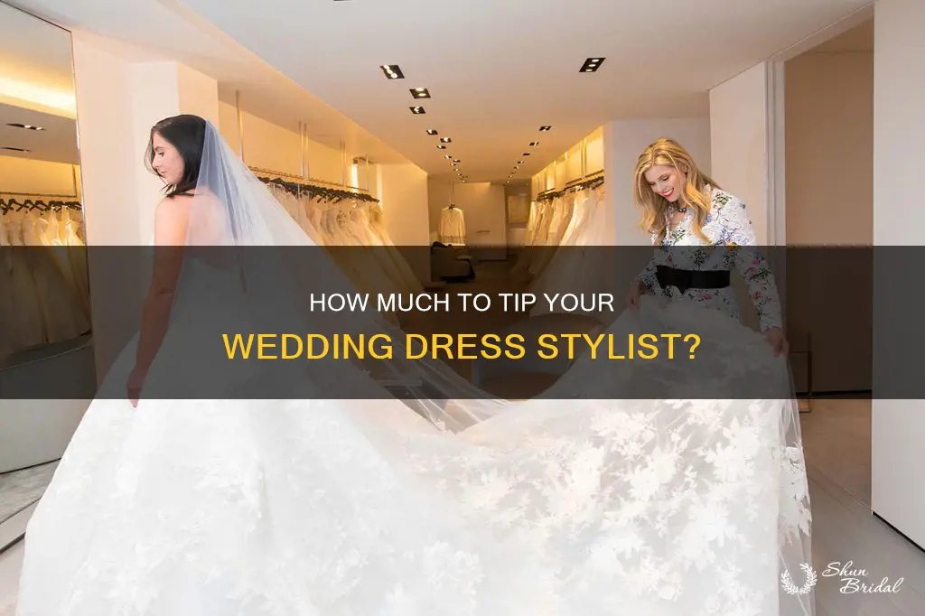 do you tip a wedding dress stylist