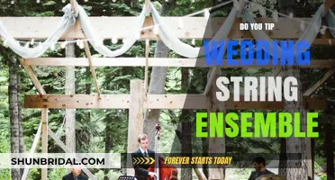 Tipping Etiquette for Wedding String Ensembles