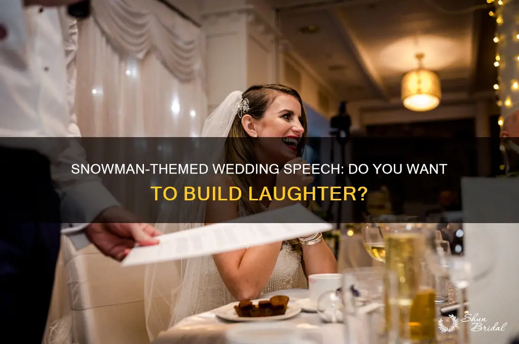 do you wanna build a snowman wedding speech