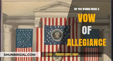 Should You Pledge Loyalty? Exploring the Vow of Allegiance