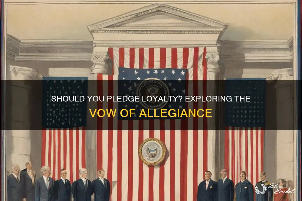 do you wanna make a vow of allegiance