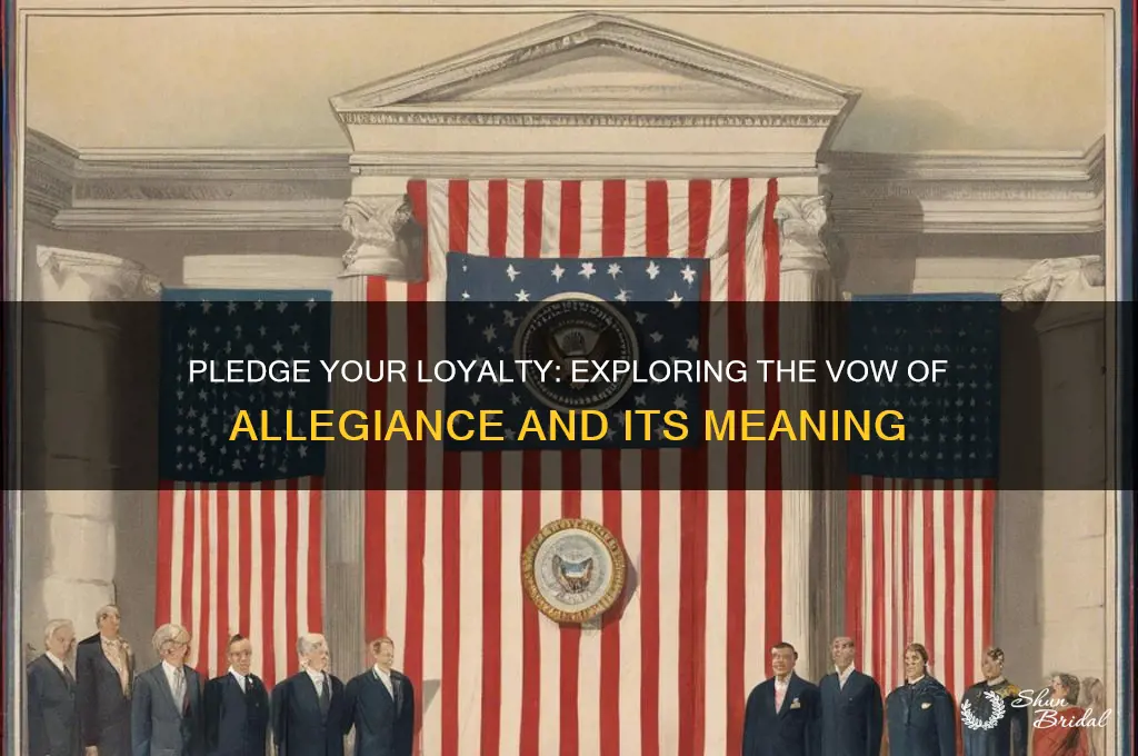 do you wanna make a vow of allegience