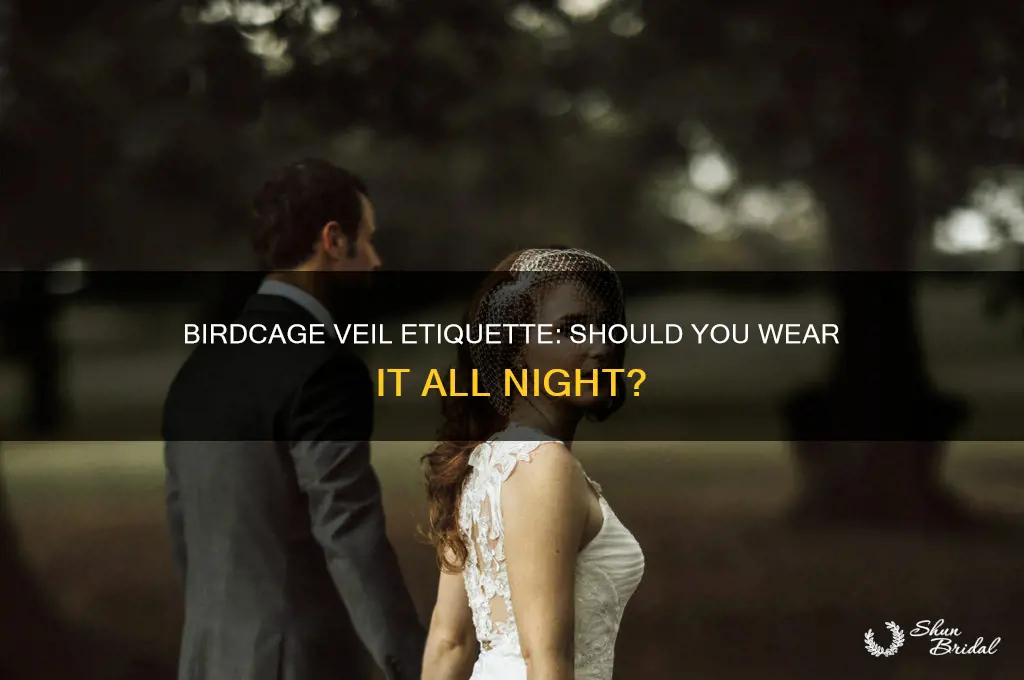 do you wear a birdcage veil all night