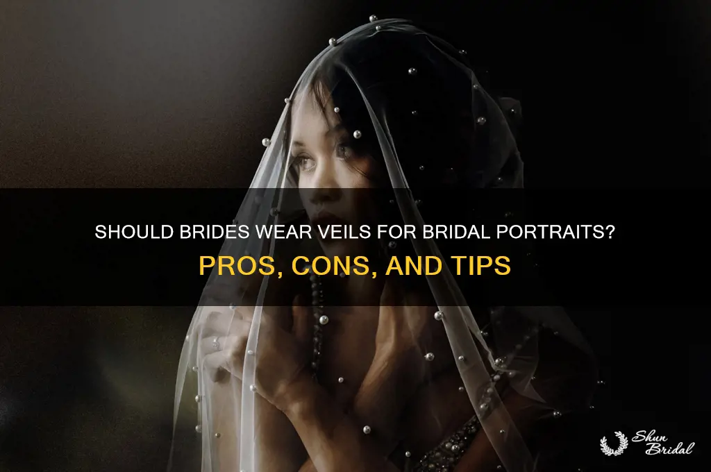 do you wear your veil for bridal portraits