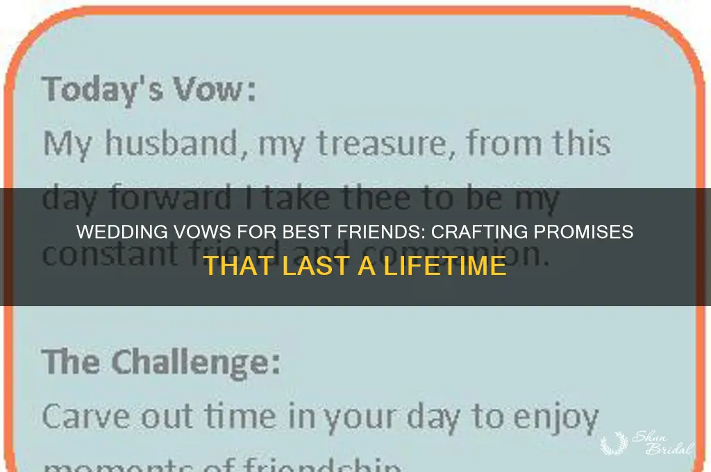 do you wedding vows best friends