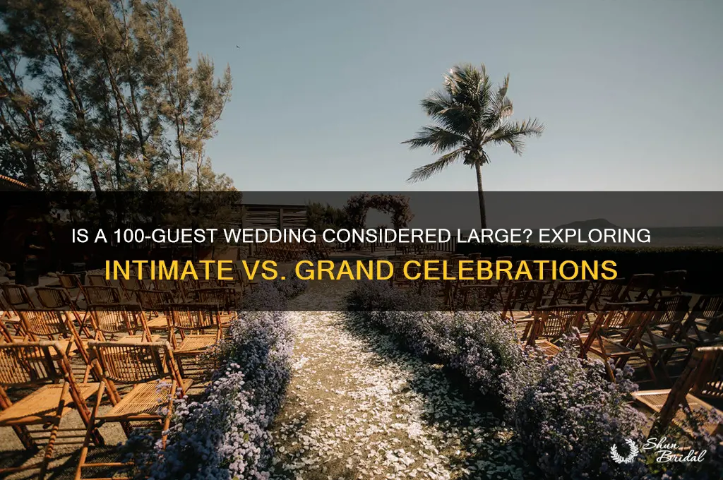 does 100 people wedding feel big