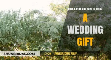 Plus One Gift Etiquette: Should You Bring a Wedding Present?