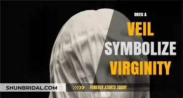 Does a Veil Symbolize Virginity? Unraveling Cultural Myths and Meanings