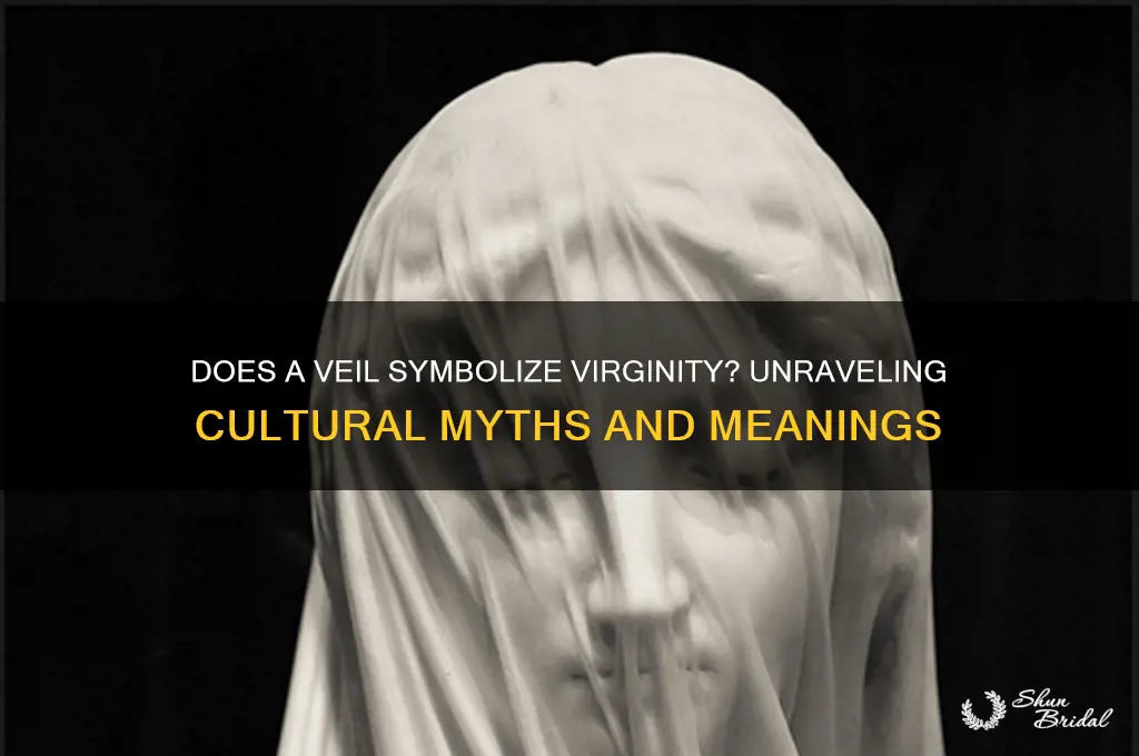 does a veil symbolize virginity