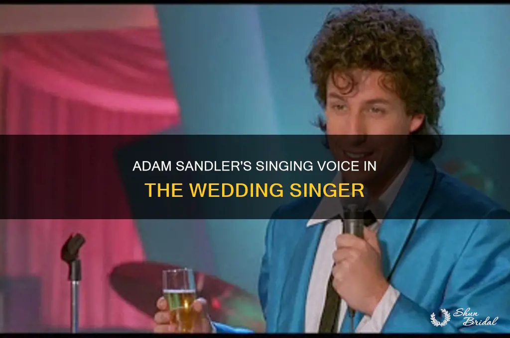 does adam sandler actually sing in the wedding singer