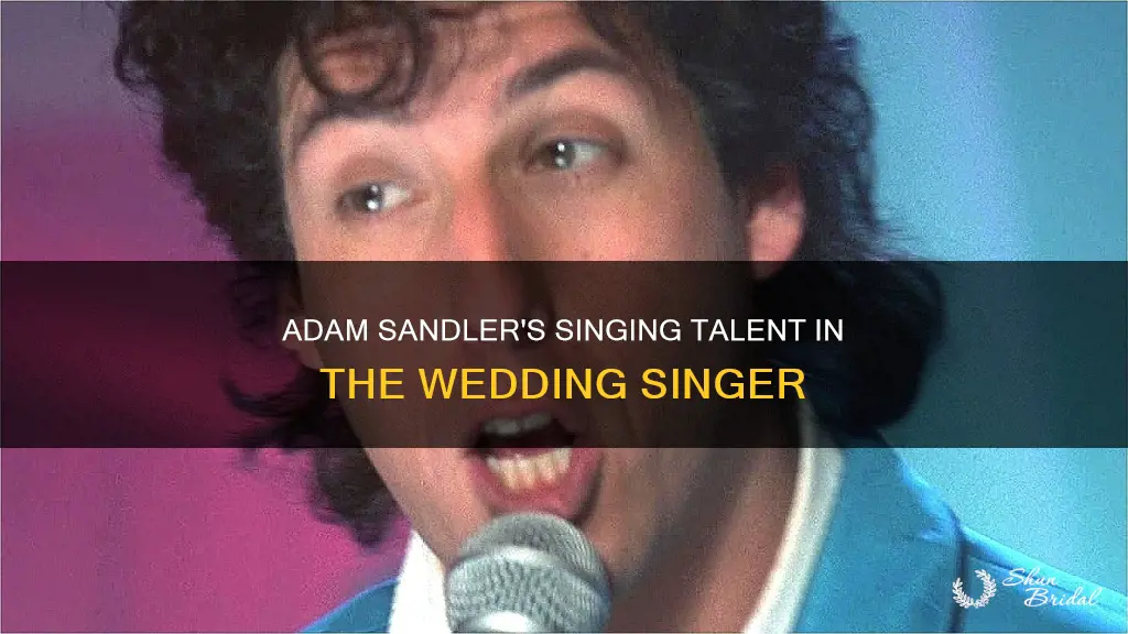 does adam sandler sing in the wedding singer
