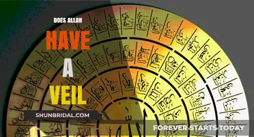 Does Allah Have a Veil? Exploring Divine Attributes in Islamic Theology