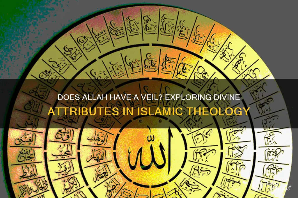 does allah have a veil