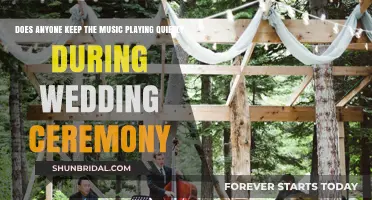 Soft Serenades: Should Wedding Ceremonies Feature Quiet Background Music?