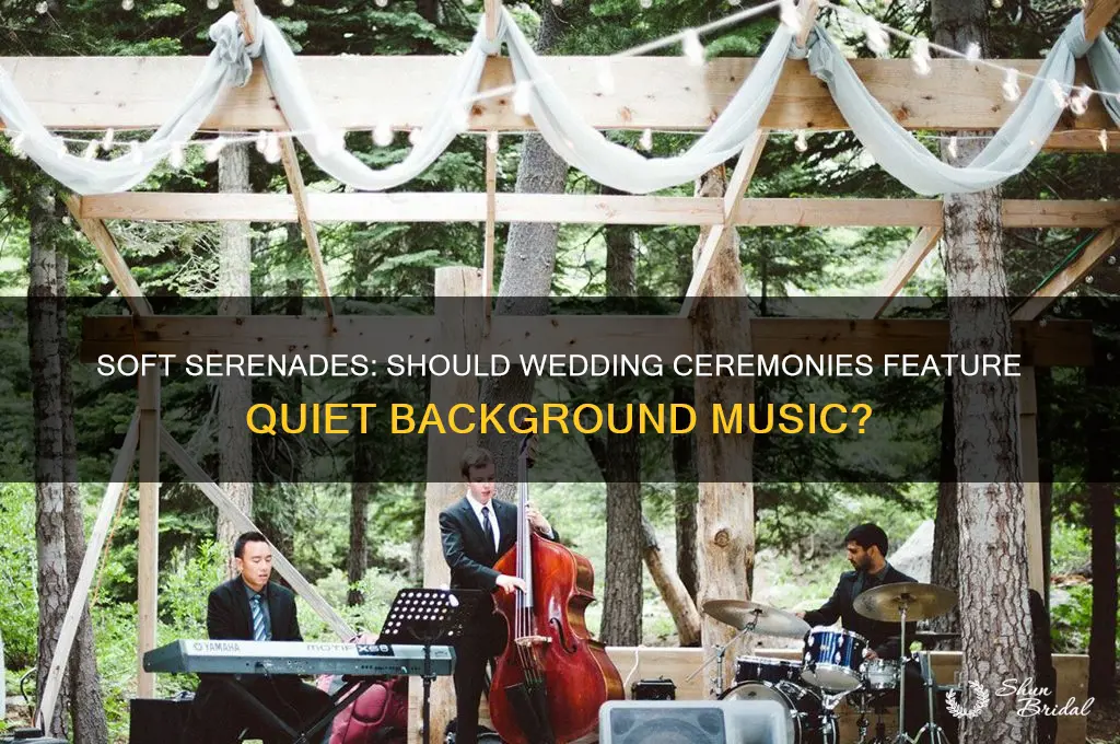does anyone keep the music playing quietly during wedding ceremony